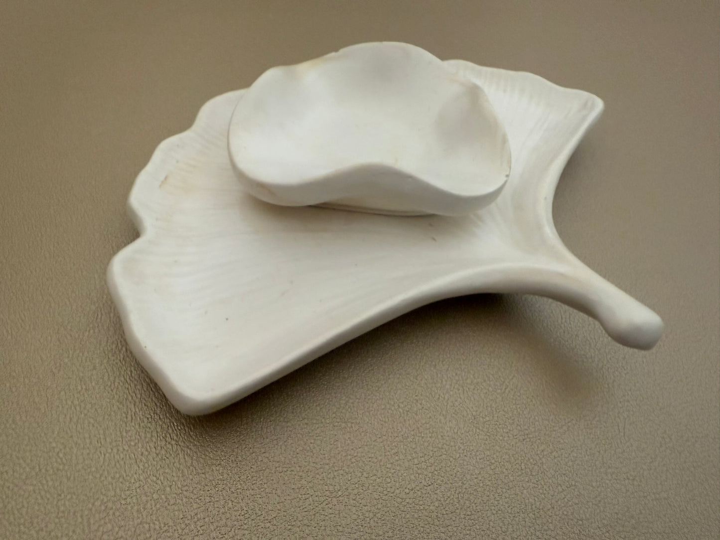 Ginkgo Stoneleaf
