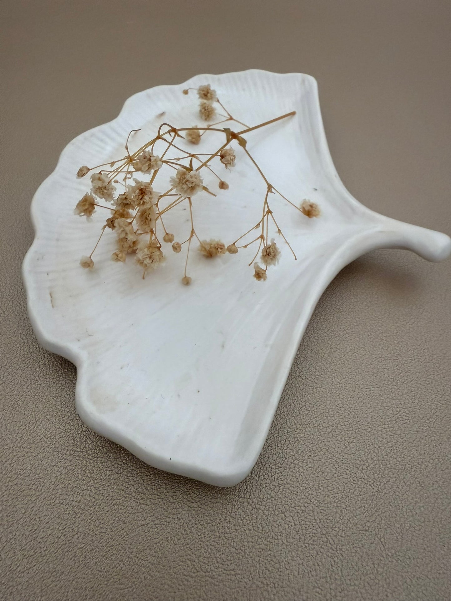 Ginkgo Stoneleaf
