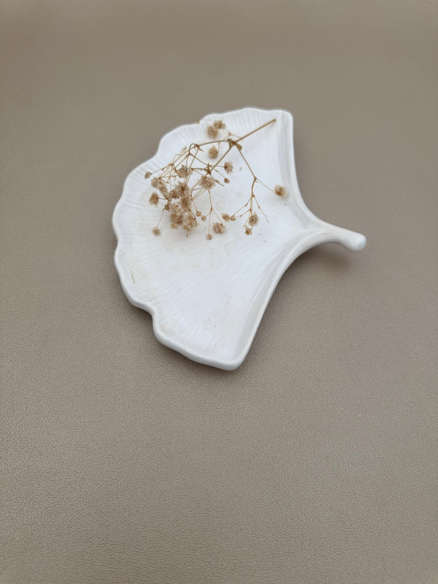 Ginkgo Stoneleaf